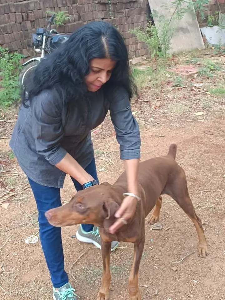 Animal welfare moment 3